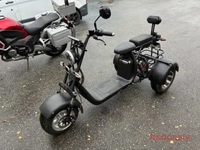 Shansu CP-3.0 Trike – Klass 1 Moped