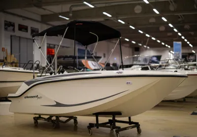 Bayliner Element 15